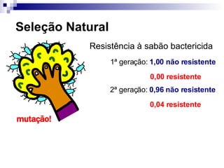 Seleção Natural Resistência à sabão bactericida mutação! 1 ª geração:  1,00 não resistente 0,00 resistente 2 ª geração:  0,96 não resistente 0,04 resistente 