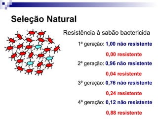Seleção Natural Resistência à sabão bactericida 1 ª geração:  1,00 não resistente 0,00 resistente 2 ª geração:  0,96 não resistente 0,04 resistente 3 ª geração:  0,76 não resistente 0,24 resistente 4 ª geração:  0,12 não resistente 0,88 resistente 