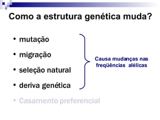 Como a estrutura genética muda? mutação migração seleção natural deriva genética Casamento preferencial Causa mudanças nas freqüências  alélicas 