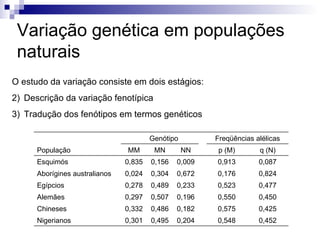 Variação genética em populações naturais O estudo da variação consiste em dois estágios: Descrição da variação fenotípica Tradução dos fenótipos em termos genéticos 0,452 0,548 0,204 0,495 0,301 Nigerianos 0,425 0,575 0,182 0,486 0,332 Chineses 0,450 0,550 0,196 0,507 0,297 Alemães 0,477 0,523 0,233 0,489 0,278 Egípcios 0,824 0,176 0,672 0,304 0,024 Aborígines australianos 0,087 0,913 0,009 0,156 0,835 Esquimós q (N) p (M) NN MN MM População Freqüências alélicas Genótipo 