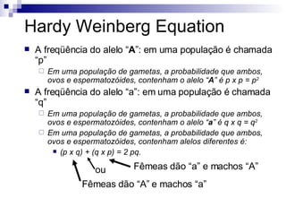 Hardy Weinberg Equation A freqüência do alelo “ A ”: em uma população é chamada “p” Em uma população de gametas, a probabilidade que ambos, ovos e espermatozóides, contenham o alelo “ A ” é p x p = p 2 A freqüência do alelo “a”: em uma população é chamada “q” Em uma população de gametas, a probabilidade que ambos, ovos e espermatozóides, contenham o alelo “ a ” é q x q = q 2 Em uma população de gametas, a probabilidade que ambos, ovos e espermatozóides, contenham alelos diferentes é: (p x q) + (q x p) = 2 pq. Fêmeas dão “A” e machos “a” ou Fêmeas dão “a” e machos “A” 