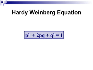 Hardy Weinberg Equation p 2   + 2pq + q 2  = 1 