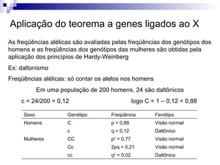 Aplicação do teorema a genes ligados ao X As freqüências alélicas são avaliadas pelas freqüências dos genótipos dos homens e as freqüências dos genótipos das mulheres são obtidas pela aplicação dos princípios de Hardy-Weinberg Ex: daltonismo Freqüências alélicas: só contar os alelos nos homens Em uma população de 200 homens, 24 são daltônicos c = 24/200 = 0,12 logo C = 1 – 0,12 = 0,88  Daltônico q 2  = 0,02 cc Visão normal 2pq = 0,21 Cc Visão normal p 2  = 0,77 CC Mulheres Daltônico q = 0,12 c Visão normal p = 0,88 C Homens Fenótipo Freqüência Genótipo Sexo 