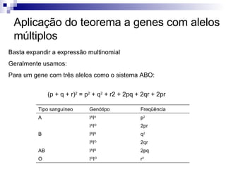 Aplicação do teorema a genes com alelos múltiplos Basta expandir a expressão multinomial Geralmente usamos: Para um gene com três alelos como o sistema ABO:  (p + q + r) 2  = p 2  + q 2  + r2 + 2pq + 2qr + 2pr r 2 I O I O O 2pq I A I B AB 2qr I B I O q 2 I B I B B 2pr I A I O p 2 I A I A A Freqüência  Genótipo Tipo sanguíneo 