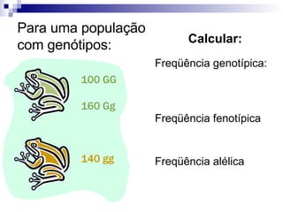 100 GG 160 Gg 140 gg Para uma população com genótipos: Calcular: Freqüência genotípica: Freqüência fenotípica Freqüência alélica 