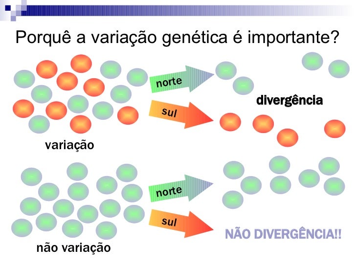 Que Fatores Contribuem Para A Variação Genética Nas Populações
