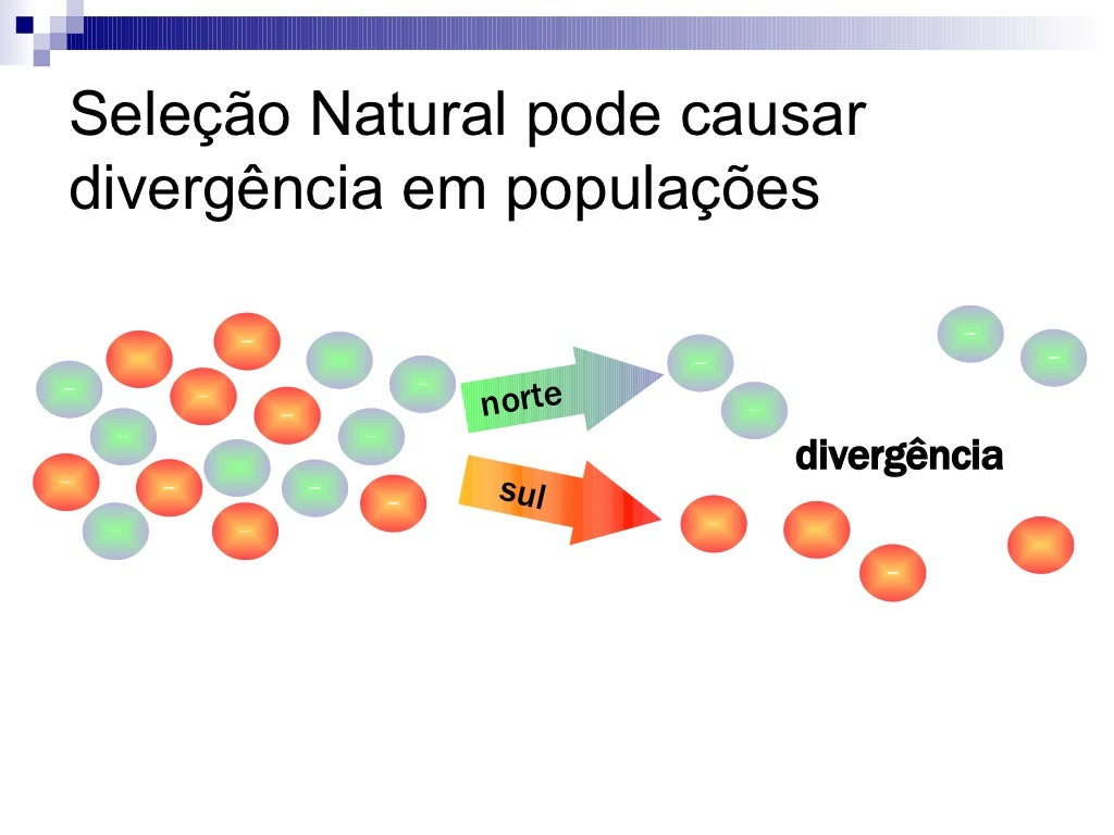 Que Fatores Contribuem Para A Variação Genética Nas Populações