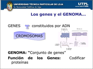 Los genes y el GENOMA… GENES  constituidos por ADN GENOMA: “ Conjunto de genes”  Función de los Genes:  Codificar proteínas CROMOSOMAS 
