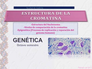 facultad de medicina
-Estructura del Nucleosoma
-Niveles de compactación de la cromatina
-Epigenética (Procesos de replicación y reparación del
genoma humano)
 