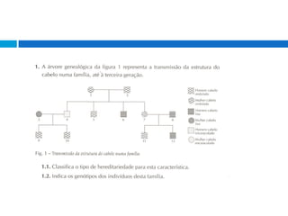 GenéTica (ExercíCios)