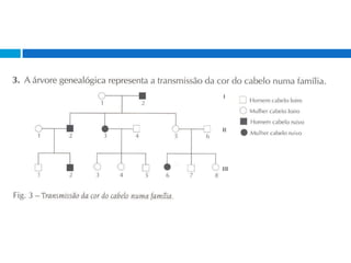GenéTica (ExercíCios)