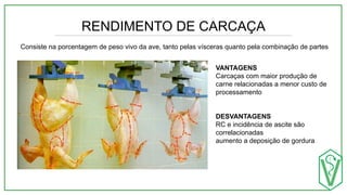 RENDIMENTO DE CARCAÇA
Consiste na porcentagem de peso vivo da ave, tanto pelas vísceras quanto pela combinação de partes
VANTAGENS
Carcaças com maior produção de
carne relacionadas a menor custo de
processamento
DESVANTAGENS
RC e incidência de ascite são
correlacionadas
aumento a deposição de gordura
 