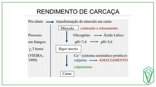 RENDIMENTO DE CARCAÇA
 