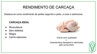 RENDIMENTO DE CARCAÇA
Destaca-se como rendimento de partes segundo o peito, a coxa e sobrecoxa.
CARCAÇA IDEAL
● Musculatura
● Sem defeitos
● Magra
● Carne saborosa ‘’Carne com qualidade’’
=
Característica desejável e valorizada
pelo consumidor
 
