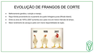 EVOLUÇÃO DE FRANGOS DE CORTE
● Melhoramento genético, nutrição e manejo;
● Raça híbrida proveniente do cruzamento de quatro linhagens puras (Rhode Island);
● Entre os anos de 1976 a 2007 aumentou-se o peso vivo em menor intervalo de tempo;
● Maior rendimento de carcaça e peito com menor disponibilidade de ração.
 