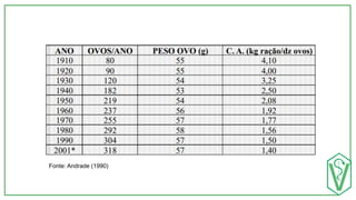 Fonte: Andrade (1990)
 