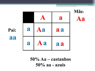Pai:
aa
Mãe:
AaA a
a
a
Aa aa
Aa aa
50% Aa – castanhos
50% aa - azuis
 