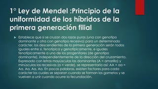 1° Ley de Mendel :Principio de la
uniformidad de los híbridos de la
primera generación filial
 Establece que si se cruzan dos razas puras (una con genotipo
dominante y otra con genotipo recesivo) para un determinado
carácter, los descendientes de la primera generación serán todos
iguales entre sí, fenotípica y genotípicamente, e iguales
fenotípicamente a uno de los progenitores (de genotipo
dominante), independientemente de la dirección del cruzamiento.
Expresado con letras mayúsculas las dominantes (A = amarillo) y
minúsculas las recesivas (a = verde), se representaría así: AA + aa =
Aa, Aa, Aa, Aa. En pocas palabras, existen factores para cada
carácter los cuales se separan cuando se forman los gametos y se
vuelven a unir cuando ocurre la fecundación.
 