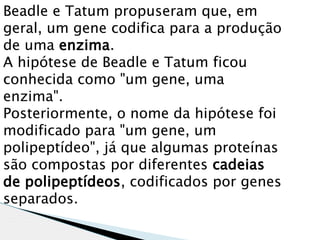 Beadle e Tatum propuseram que, em
geral, um gene codifica para a produção
de uma enzima.
A hipótese de Beadle e Tatum ficou
conhecida como "um gene, uma
enzima".
Posteriormente, o nome da hipótese foi
modificado para "um gene, um
polipeptídeo", já que algumas proteínas
são compostas por diferentes cadeias
de polipeptídeos, codificados por genes
separados. 
 