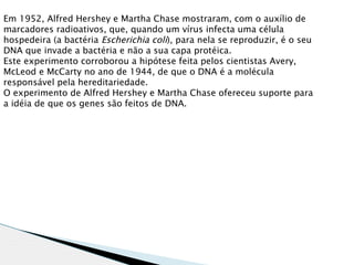 Em 1952, Alfred Hershey e Martha Chase mostraram, com o auxílio de
marcadores radioativos, que, quando um vírus infecta uma célula
hospedeira (a bactéria Escherichia coli), para nela se reproduzir, é o seu
DNA que invade a bactéria e não a sua capa protéica.
Este experimento corroborou a hipótese feita pelos cientistas Avery,
McLeod e McCarty no ano de 1944, de que o DNA é a molécula
responsável pela hereditariedade.
O experimento de Alfred Hershey e Martha Chase ofereceu suporte para
a idéia de que os genes são feitos de DNA.
 