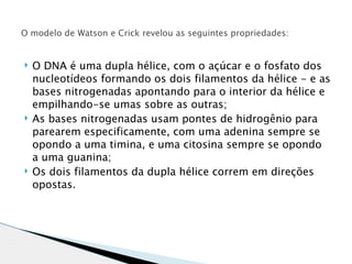 O modelo de Watson e Crick revelou as seguintes propriedades:


   O DNA é uma dupla hélice, com o açúcar e o fosfato dos
    nucleotídeos formando os dois filamentos da hélice - e as
    bases nitrogenadas apontando para o interior da hélice e
    empilhando-se umas sobre as outras;
   As bases nitrogenadas usam pontes de hidrogênio para
    parearem especificamente, com uma adenina sempre se
    opondo a uma timina, e uma citosina sempre se opondo
    a uma guanina;
   Os dois filamentos da dupla hélice correm em direções
    opostas.
 