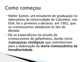 Como começou
   Walter Sutton, um estudante de graduação no
    laboratório da Universidade de Columbia, nos
    EUA, foi o primeiro a declarar, em 1902, que
    os cromossomos obedecem às leis de
    Mendel.
   Ele se especializou no estudo de
    cromossomos de gafanhotos, dando início
    àspesquisas citológicas que contribuiriam
    para a elaboração da teoria cromossômica da
    hereditariedade. 
 