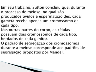 Em seu trabalho, Sutton concluiu que, durante
o processo de meiose, no qual são
produzidos óvulos e espermatozóides, cada
gameta recebe apenas um cromossomo de
cada tipo.
Nas outras partes do corpo, as células
possuem dois cromossomos de cada tipo,
herdados de cada genitor.
O padrão de segregação dos cromossomos
durante a meiose corresponde aos padrões de
segregação propostos por Mendel.
 