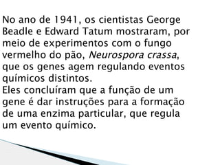 No ano de 1941, os cientistas George
Beadle e Edward Tatum mostraram, por
meio de experimentos com o fungo
vermelho do pão, Neurospora crassa,
que os genes agem regulando eventos
químicos distintos.
Eles concluíram que a função de um
gene é dar instruções para a formação
de uma enzima particular, que regula
um evento químico.
 