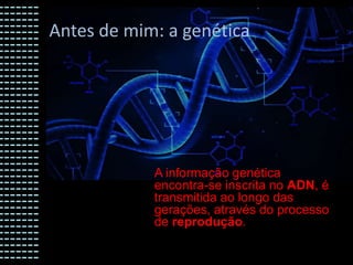 Antes de mim: a genética

A informação genética
encontra-se inscrita no ADN, é
transmitida ao longo das
gerações, através do processo
de reprodução.

 
