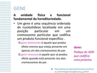 GENE
A unidade física e funcional
fundamental da hereditariedade.
• Um gene é uma sequência ordenada
de nucleotídeos localizada em uma
posição
particular
em
um
cromossomo particular que codifica
um produto funcional específico .
O gene dominante é aquele que produz
efeito mesmo que esteja presente em
apenas um dos cromossomas do par.
O gene recessivo é aquele que só produz
efeito quando está presente nos dois
cromossomas do par.

Gene:
Pedaço de ADN
que codifica
uma proteína

http://www.ornl.gov/sci/techresources/Hum
an_Genome/glossary/glossary_g.shtml

 