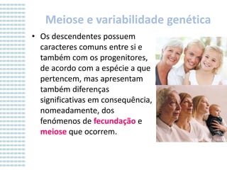 Meiose e variabilidade genética
• Os descendentes possuem
caracteres comuns entre si e
também com os progenitores,
de acordo com a espécie a que
pertencem, mas apresentam
também diferenças
significativas em consequência,
nomeadamente, dos
fenómenos de fecundação e
meiose que ocorrem.

 