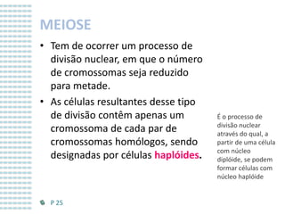 MEIOSE
• Tem de ocorrer um processo de
divisão nuclear, em que o número
de cromossomas seja reduzido
para metade.
• As células resultantes desse tipo
de divisão contêm apenas um
cromossoma de cada par de
cromossomas homólogos, sendo
designadas por células haplóides.

P 25

É o processo de
divisão nuclear
através do qual, a
partir de uma célula
com núcleo
diplóide, se podem
formar células com
núcleo haplóide

 