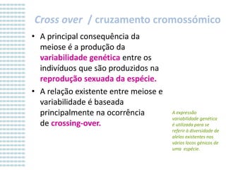 Cross over / cruzamento cromossómico
• A principal consequência da
meiose é a produção da
variabilidade genética entre os
indivíduos que são produzidos na
reprodução sexuada da espécie.
• A relação existente entre meiose e
variabilidade é baseada
principalmente na ocorrência
de crossing-over.

A expressão
variabilidade genética
é utilizada para se
referir à diversidade de
alelos existentes nos
vários locos génicos de
uma espécie.

 