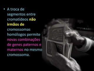 • A troca de
segmentos entre
cromatídeos não
irmãos de
cromossomas
homólogos permite
novas combinações
de genes paternos e
maternos no mesmo
cromossoma.

 