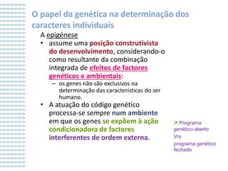 O papel da genética na determinação dos
caracteres individuais
A epigénese
• assume uma posição construtivista
do desenvolvimento, considerando-o
como resultante da combinação
integrada de efeitos de factores
genéticos e ambientais:
– os genes não são exclusivos na
determinação das características do ser
humano.

• A atuação do código genético
processa-se sempre num ambiente
em que os genes se expõem à ação
condicionadora de factores
interferentes de ordem externa.

↗ Programa
genético aberto
Vrs
programa genético
fechado

 