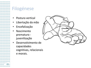Filogénese
•
•
•
•

Postura vertical
Libertação da mão
Encefalização
Nascimento
prematuro juvenilização
• Desenvolvimento de
capacidades
cognitivas, relacionais
e morais.

49

 