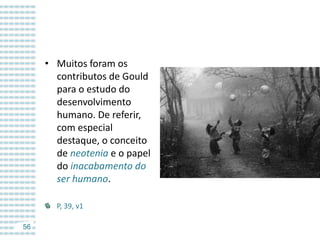 • Muitos foram os
contributos de Gould
para o estudo do
desenvolvimento
humano. De referir,
com especial
destaque, o conceito
de neotenia e o papel
do inacabamento do
ser humano.
P, 39, v1
56

 