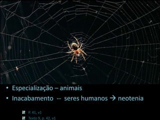 • Especialização – animais
• Inacabamento -- seres humanos  neotenia
P. 41, v1
Texto 9, p. 42, v1

 