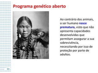 Programa genético aberto
Ao contrário dos animais,
o ser humano nasce
prematuro, visto que não
apresenta capacidades
desenvolvidas que
permitam assegurar a sua
sobrevivência,
necessitando por isso de
proteção por parte de
adultos.

60

 