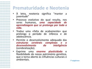 Prematuridade e Neotenia
• À letra, neotenia significa "manter a
juventude“
• Processo evolutivo do qual resulta, nos
seres humanos, uma capacidade de
aprendizagem que se prolonga por toda a
vida.
• Traduz uma «falta de acabamento» que
prolonga o período de infância e de
adolescência.
• Permite o desenvolvimento adequado das
estruturas cerebrais complexas e o
desenvolvimento
da
inteligência
(cerebralização).
• Exprime uma enorme plasticidade e
flexibilidade do nosso património genético,
que o torna aberto às influências culturais e
ambientais.

↗ epigénese

 