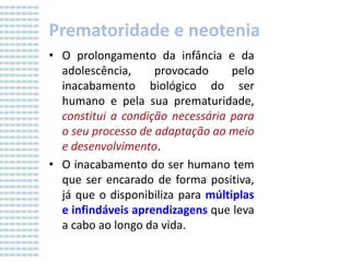 Prematoridade e neotenia
• O prolongamento da infância e da
adolescência,
provocado
pelo
inacabamento biológico do ser
humano e pela sua prematuridade,
constitui a condição necessária para
o seu processo de adaptação ao meio
e desenvolvimento.
• O inacabamento do ser humano tem
que ser encarado de forma positiva,
já que o disponibiliza para múltiplas
e infindáveis aprendizagens que leva
a cabo ao longo da vida.

 
