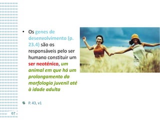 • Os genes de
desenvolvimento (p.
23.4) são os
responsáveis pelo ser
humano constituir um
ser neoténico, um
animal em que há um
prolongamento da
morfologia juvenil até
à idade adulta
P. 43, v1
67

 