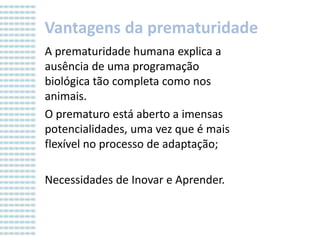 Vantagens da prematuridade
A prematuridade humana explica a
ausência de uma programação
biológica tão completa como nos
animais.
O prematuro está aberto a imensas
potencialidades, uma vez que é mais
flexível no processo de adaptação;
Necessidades de Inovar e Aprender.

 