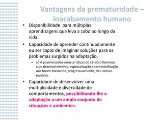 Vantagens da prematuridade –
inacabamento humano

• Disponibilidade para múltiplas
aprendizagens que leva a cabo ao longo da
vida.
• Capacidade de aprender continuadamente
ou ser capaz de imaginar soluções para os
problemas surgidos na adaptação,

– só é possível pelas características do cérebro humano,
cujo desenvolvimento, especialização e complexificação
nos foram afastando, progressivamente, das demais
espécies.

• Capacidade de desenvolver uma
multiplicidade e diversidade de
comportamentos, possibilitando-lhe a
adaptação a um amplo conjunto de
situações e ambientes.

 