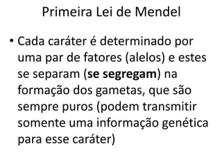 Primeira Lei de Mendel
• Cada caráter é determinado por
uma par de fatores (alelos) e estes
se separam (se segregam) na
formação dos gametas, que são
sempre puros (podem transmitir
somente uma informação genética
para esse caráter)
 