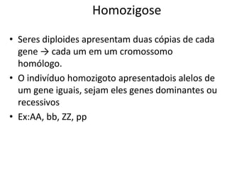Homozigose
• Seres diploides apresentam duas cópias de cada
gene → cada um em um cromossomo
homólogo.
• O indivíduo homozigoto apresentadois alelos de
um gene iguais, sejam eles genes dominantes ou
recessivos
• Ex:AA, bb, ZZ, pp
 