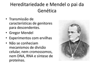 Hereditariedade e Mendel o pai da
Genética
• Transmissão de
características de genitores
para descendentes.
• Gregor Mendel
• Experimentos com ervilhas
• Não se conheciam
mecanismos de divisão
celular, nem cromossomos,
nem DNA, RNA e síntese de
proteínas.
 