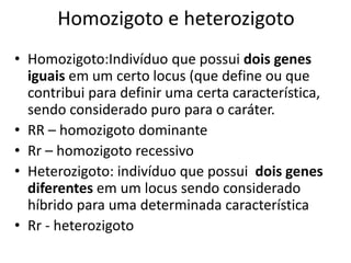 Homozigoto e heterozigoto
• Homozigoto:Indivíduo que possui dois genes
iguais em um certo locus (que define ou que
contribui para definir uma certa característica,
sendo considerado puro para o caráter.
• RR – homozigoto dominante
• Rr – homozigoto recessivo
• Heterozigoto: indivíduo que possui dois genes
diferentes em um locus sendo considerado
híbrido para uma determinada característica
• Rr - heterozigoto
 