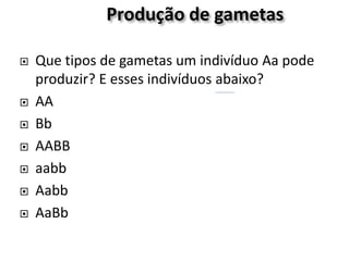 Produção de gametas
 Que tipos de gametas um indivíduo Aa pode
produzir? E esses indivíduos abaixo?
 AA
 Bb
 AABB
 aabb
 Aabb
 AaBb
 