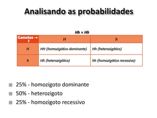 Analisando as probabilidades
 25% - homozigoto dominante
 50% - heterozigoto
 25% - homozigoto recessivo
 